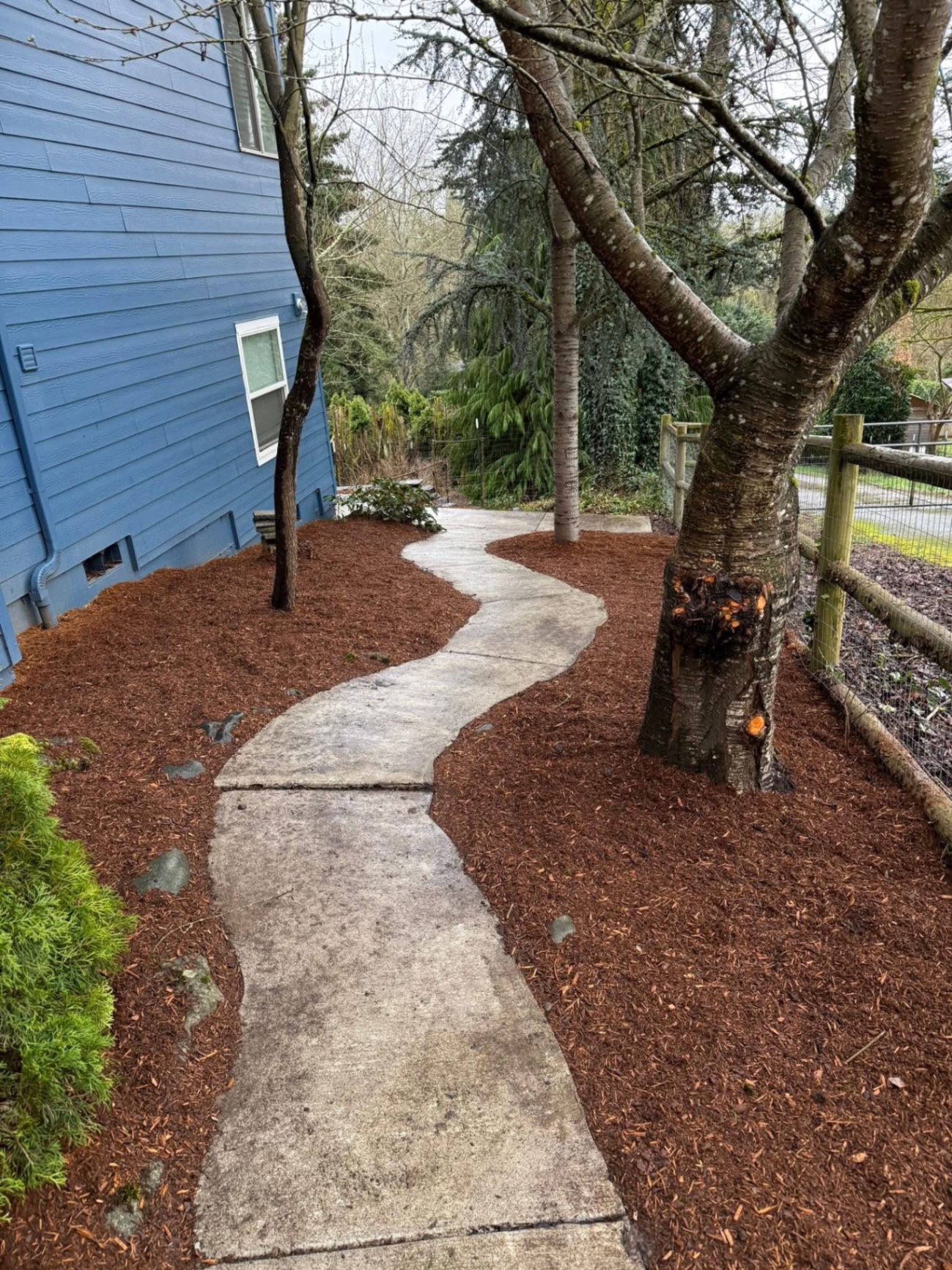 Cleared and freshly mulched side yard with winding concrete path by Two Rivers Lawn & Aesthetics